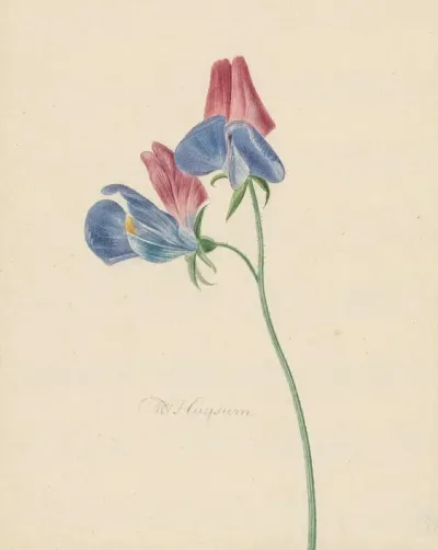 Tak Met Twee Bloemen