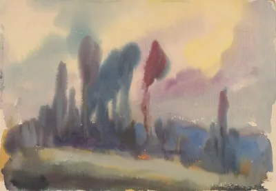Tall Trees On The Edge Of The Forest