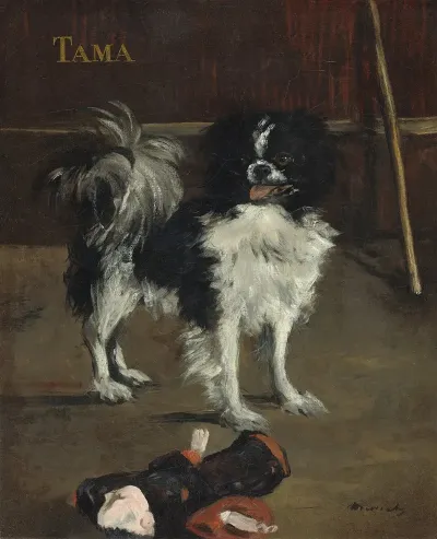 Tamathe Japanese Dog