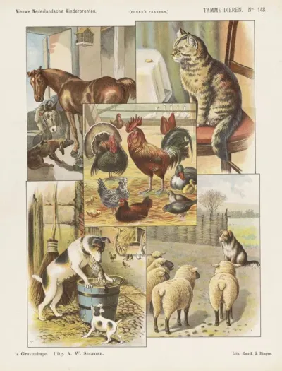 Tamme Dieren