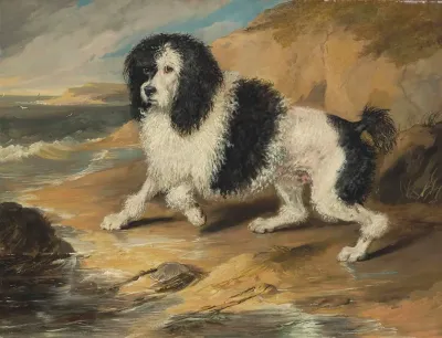 Tapageur The Poodle Belonging To The Honorable Frederick Byng