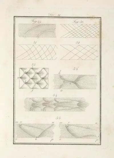 Tavola 11