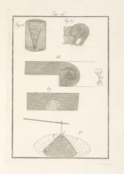 Tavola 16