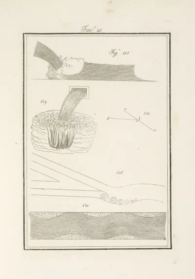 Tavola 21