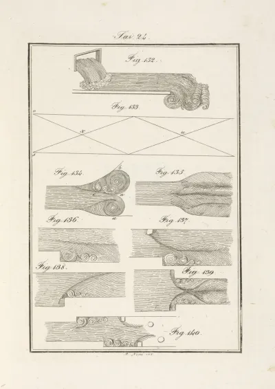 Tavola 24