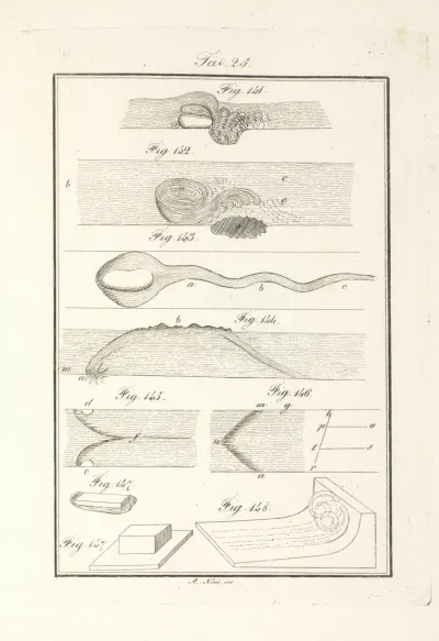 Tavola 25