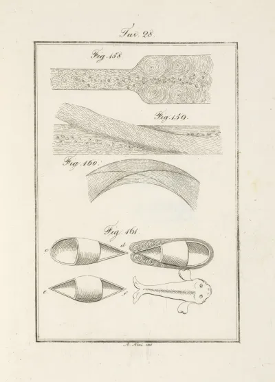 Tavola 28