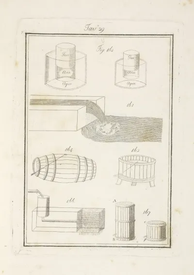 Tavola 29