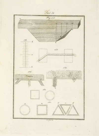 Tavola 31
