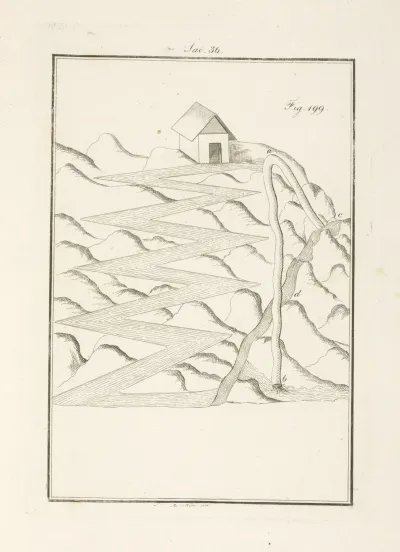 Tavola 36