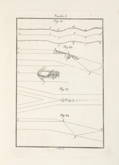 Tavola 5