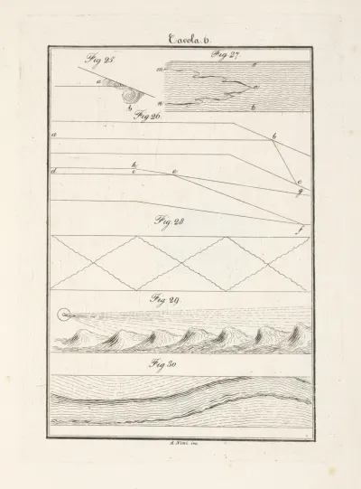 Tavola 6