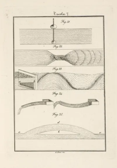 Tavola 7