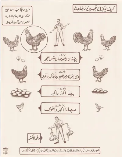 Tca Poster On Poultry