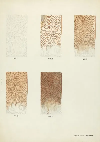 Technique Demo Wood Grain 3