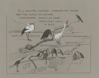 Tekstblad Met Vogels Onder Andere Roerdomp Gans Ooievaar En Kraai