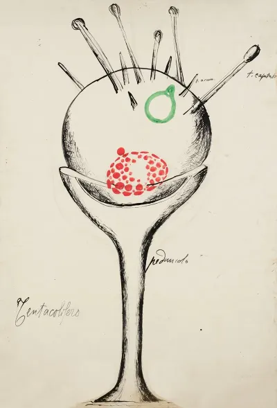 Tentaculata