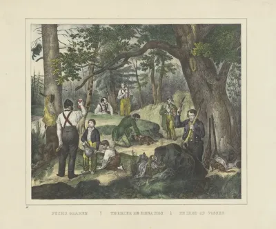 Terrier De Renards