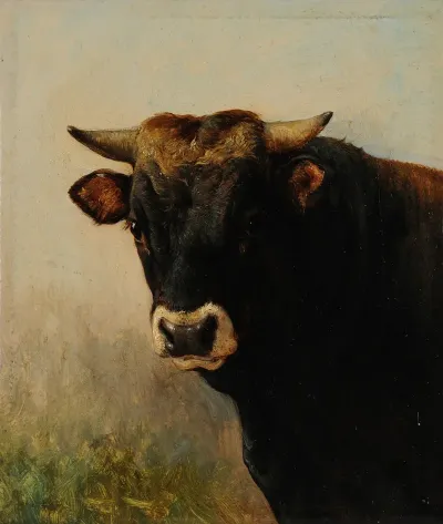 Tete De Boeuf Noir