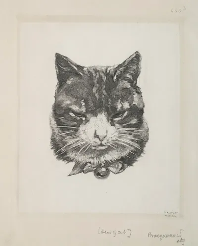 Tete De Chat