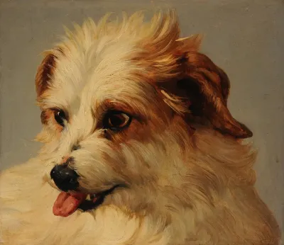 Tete De Chien Blanc Tirant La Langue