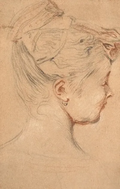 Tete De Femme De Profil