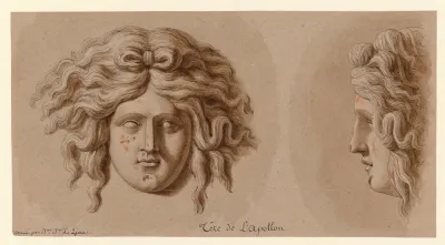 Tete De Lapollon