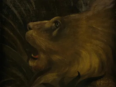 Tete De Lion