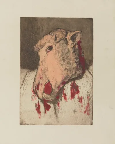 Tete De Mouton