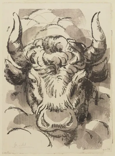 Tete De Taureau 2
