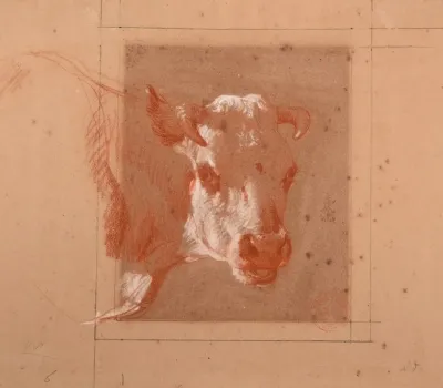 Tete De Vache