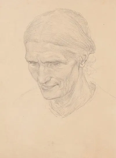 Tete De Vieille