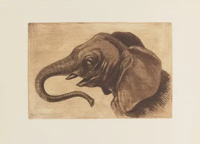Tete Delephant 2