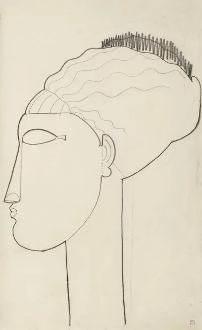 Tete Profil Gauche