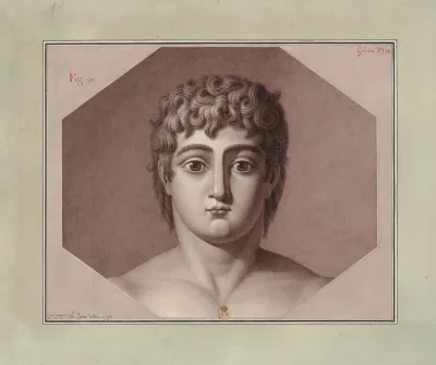 Tete Vue De Face