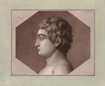 Tete Vue De Profil