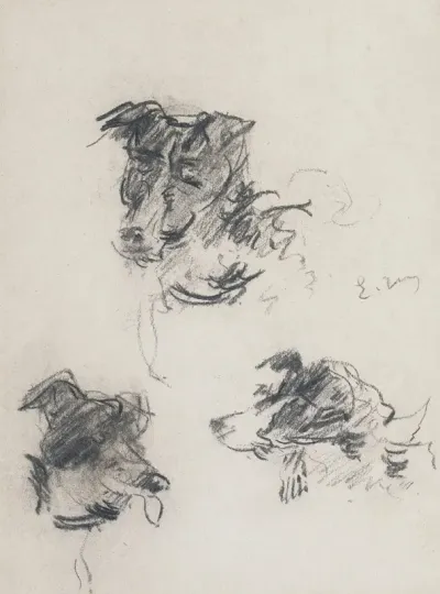 Tetes De Chiens
