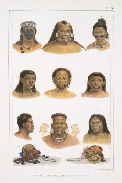 Tetes De Differentes Castes Sauvages