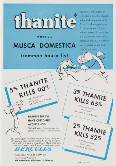 Thanite Versus Musca Domestica Common House Fly