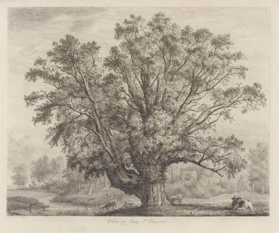 The Abbots Willow