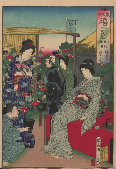 The Album Of Nishikie Pl 22