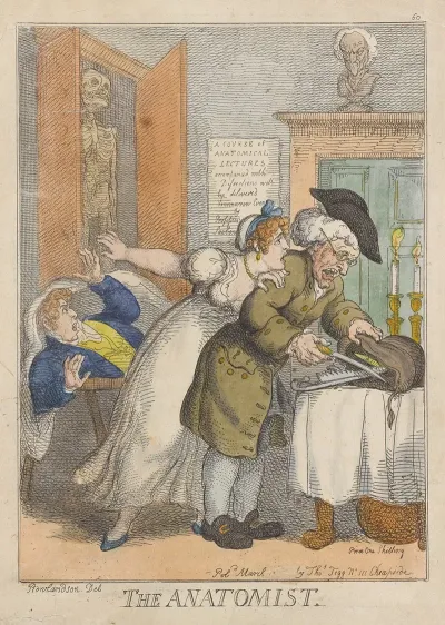The Anatomist
