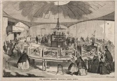 The Aquarial Gardens Bromfield Street Boston