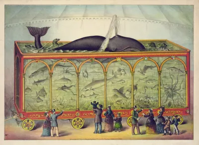The Aquarium