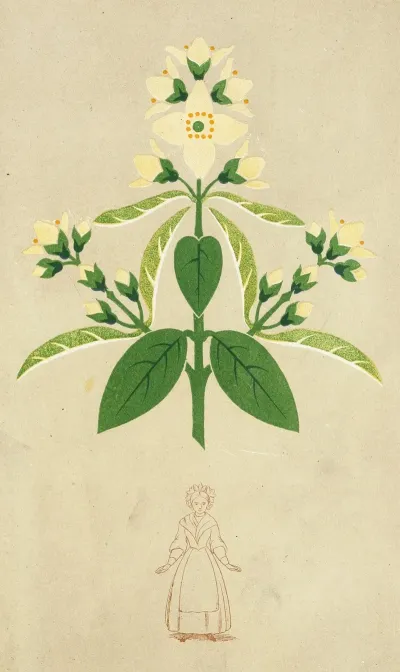 The Art Of Decorative Design Pl26