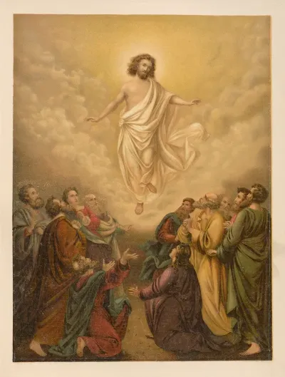 The Ascension 16