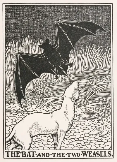 The Bat And The Two Weasels
