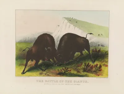 The Battle Of The Giants