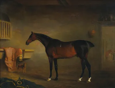 The Bay Easton In His Stable