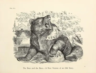 The Bear And The Bees A New Version Of An Old Story